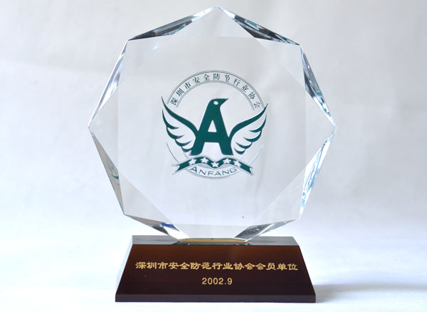 Member of the Security Industry Association